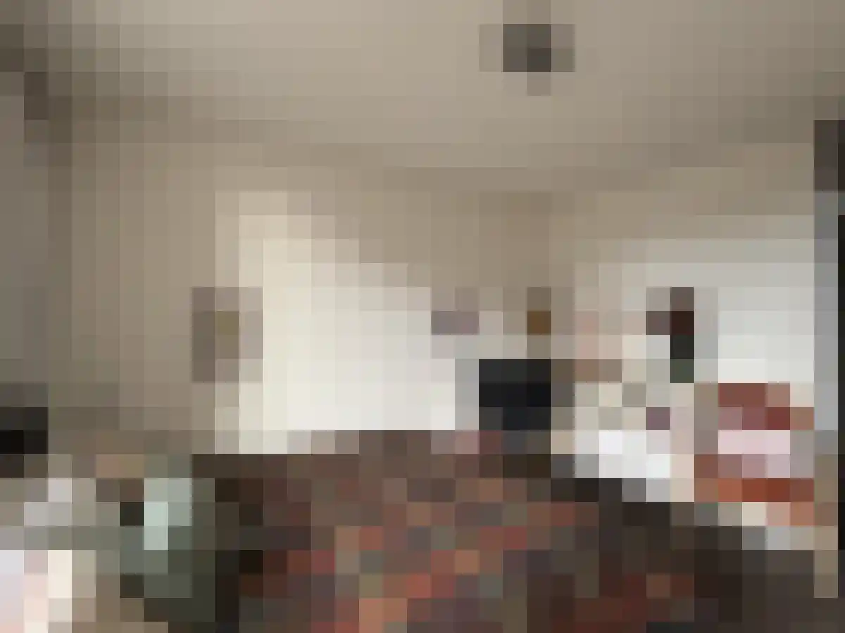 Abdijlaan 20 Uden thumbnail 5