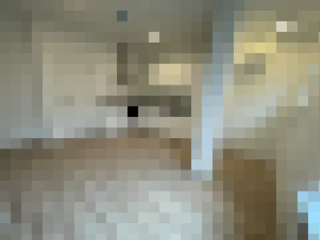 Abdijlaan 20 Uden thumbnail 5