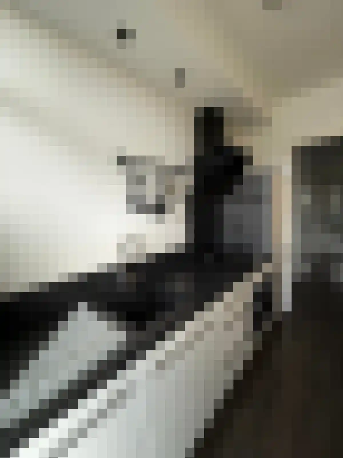Abdijlaan 20 Uden thumbnail 6