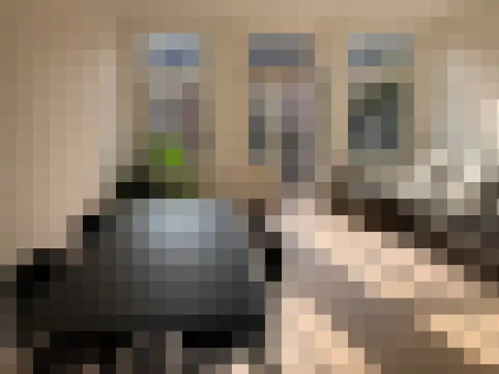Abdijlaan 21 3 Uden thumbnail 4