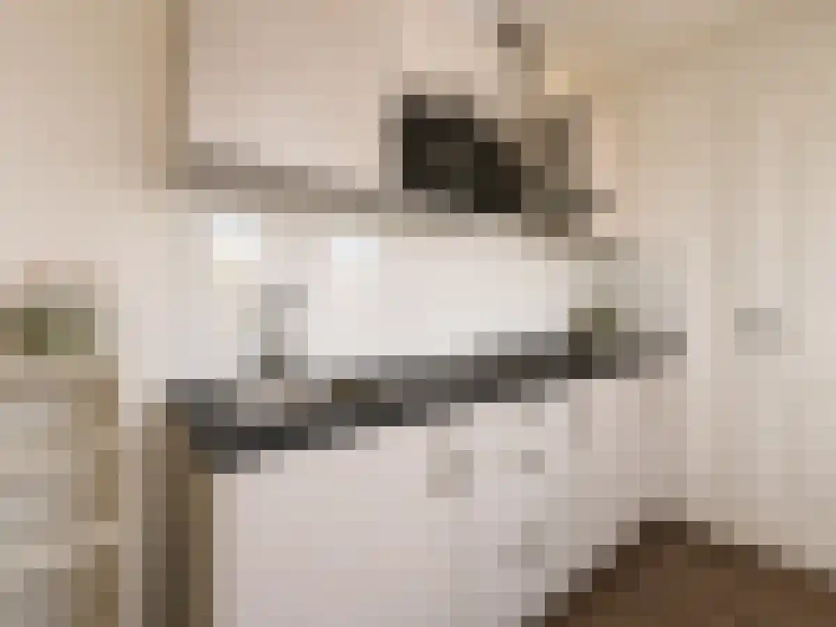 Abdijlaan 21 E Uden foto 2