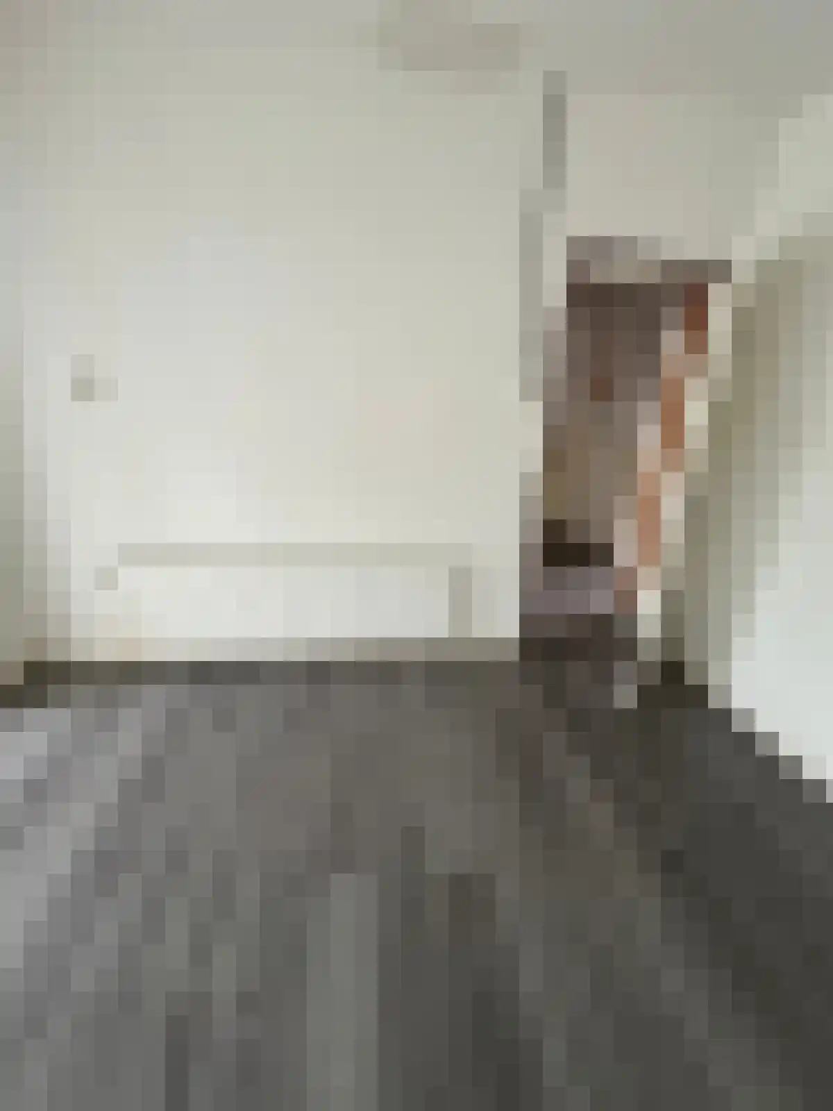 Abdijlaan 21 Uden thumbnail 5
