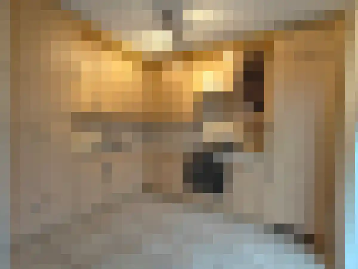 Abdijlaan 21 Uden thumbnail 5