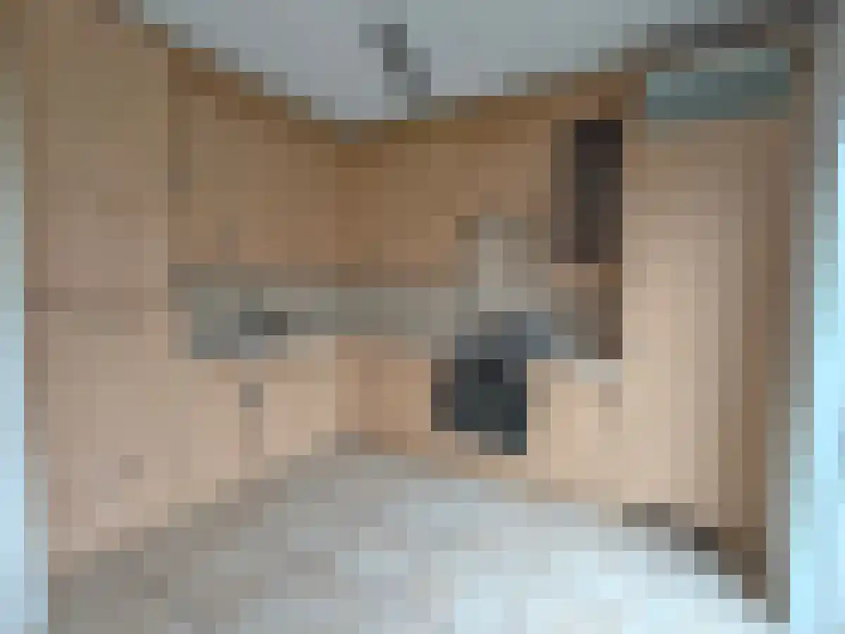 Abdijlaan 21 Uden thumbnail 6