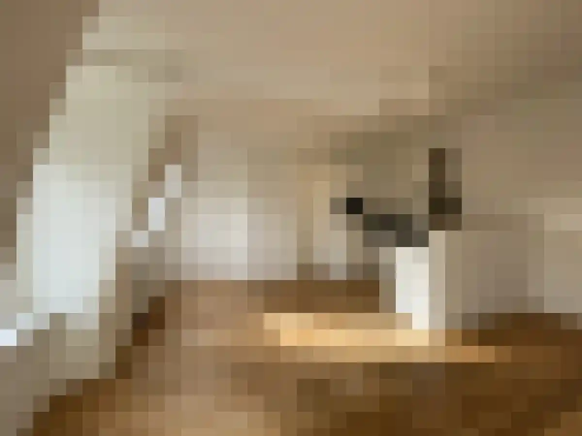 Abdijlaan 21 Uden thumbnail 6
