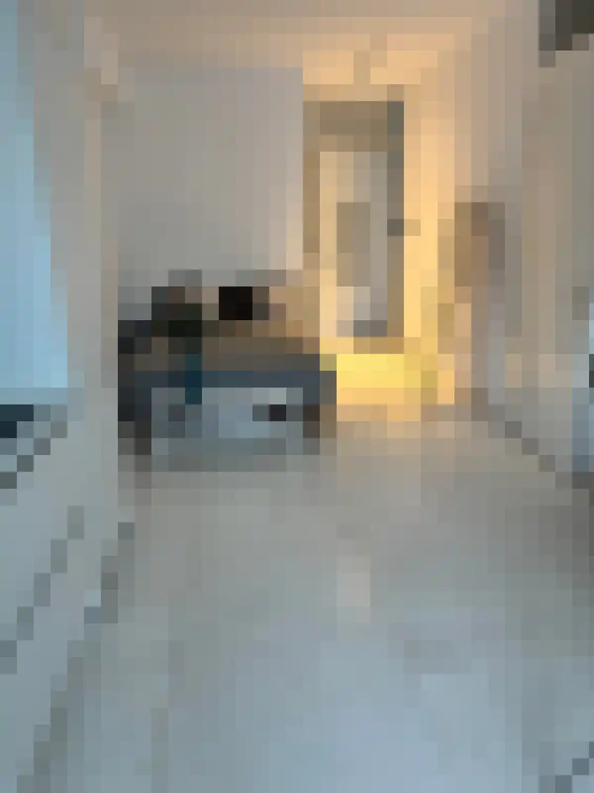 Abdijlaan 210 Uden foto 2