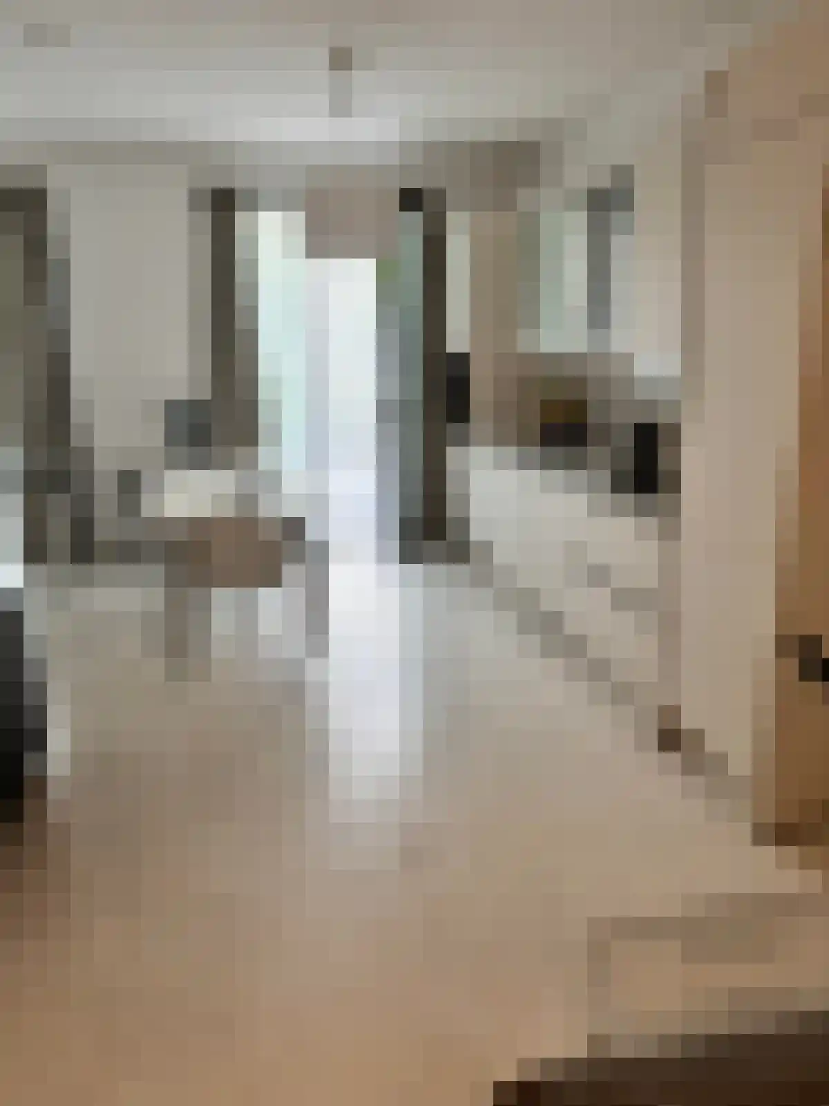 Abdijlaan 210 Uden thumbnail 4