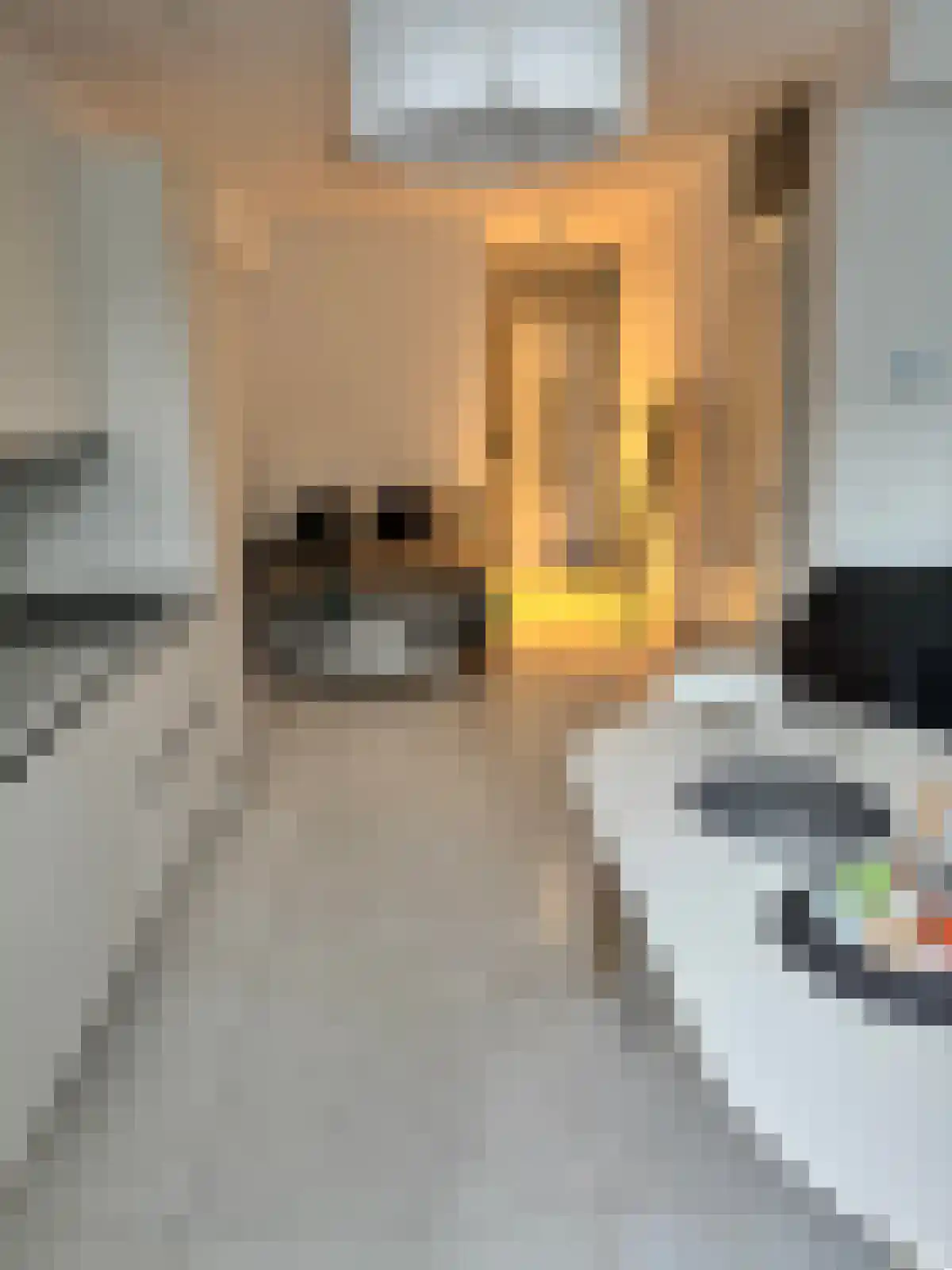 Abdijlaan 210 Uden thumbnail 5