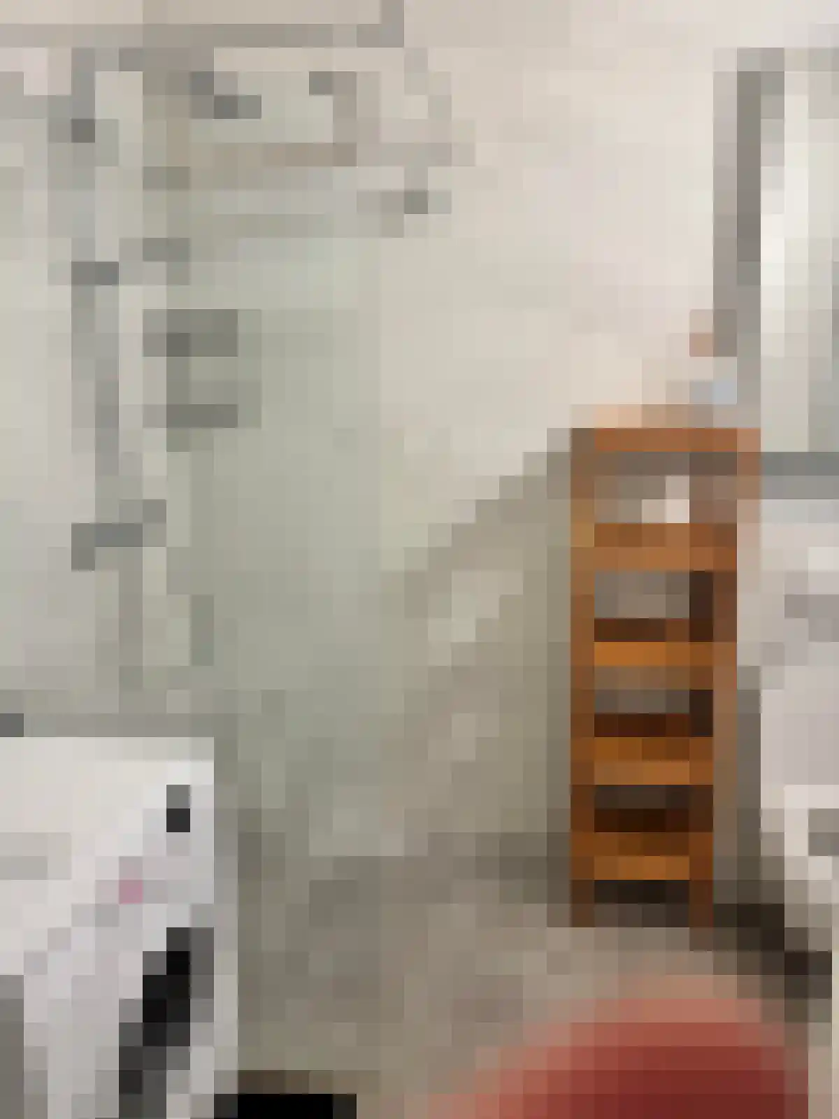 Abdijlaan 210 Uden thumbnail 6
