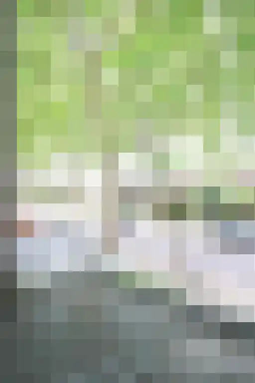 Abdijlaan 212 Uden thumbnail 6