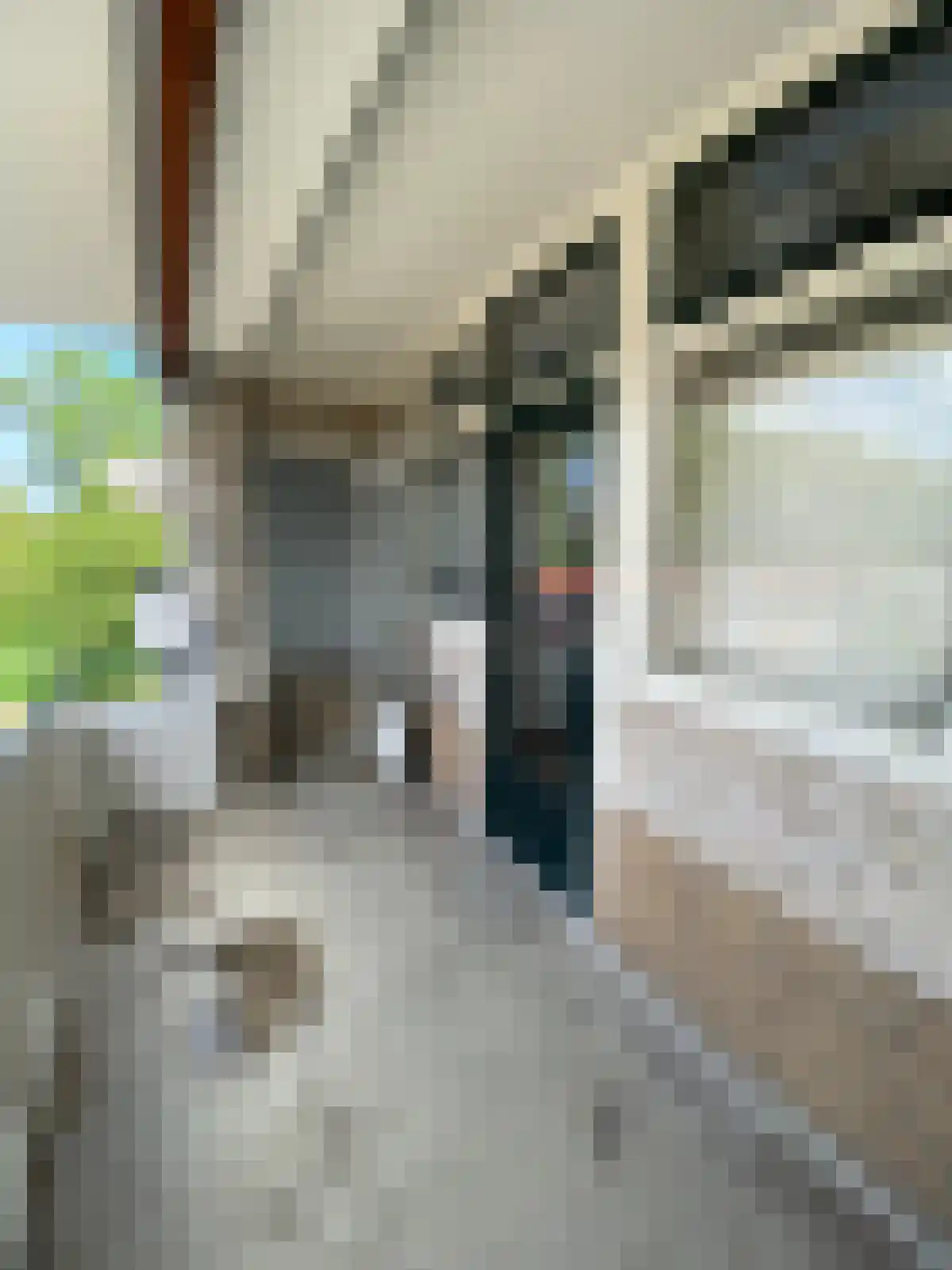Abdijlaan 213 Uden thumbnail 6