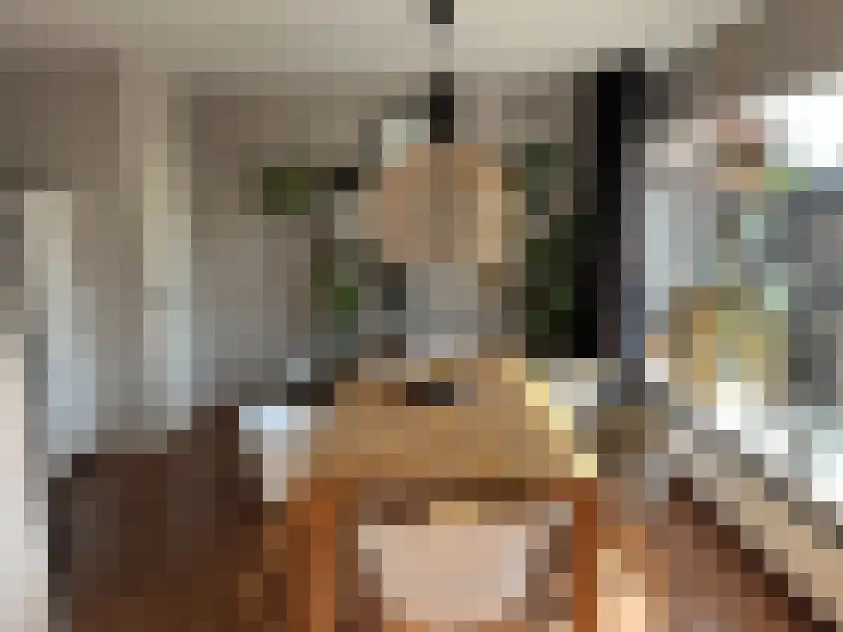 Abdijlaan 217 Uden thumbnail 5