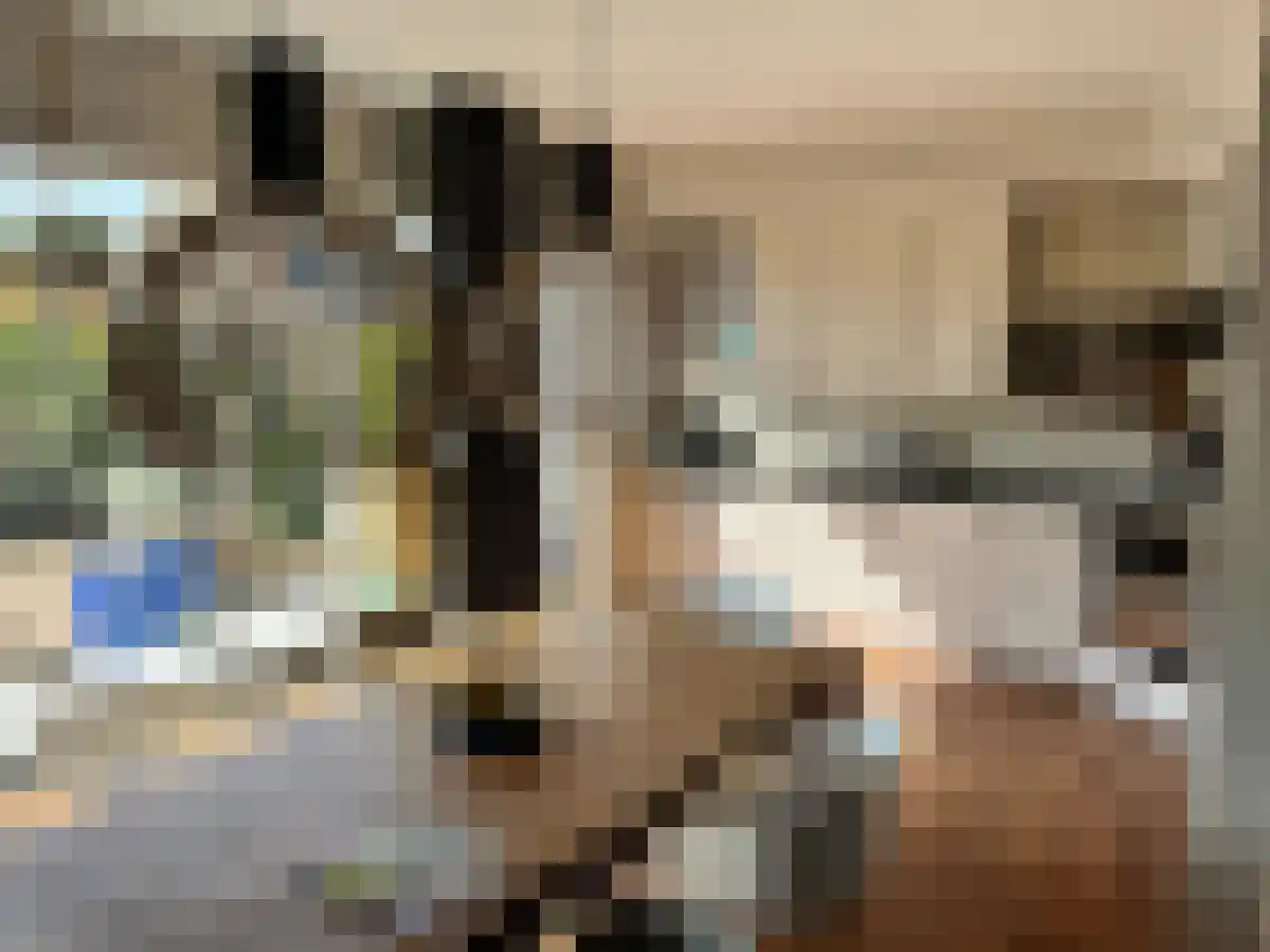 Abdijlaan 217 Uden thumbnail 6