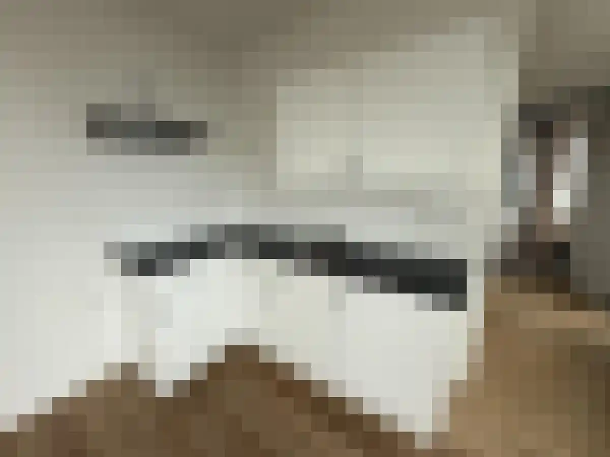 Abdijlaan 219 Uden thumbnail 4