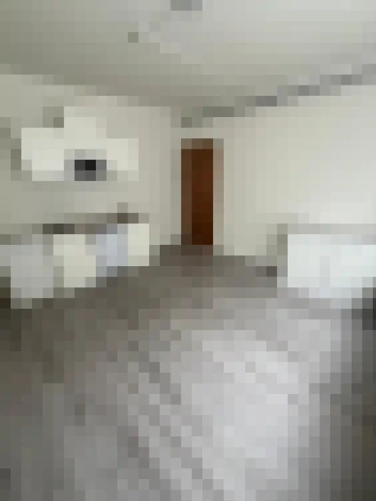 Abdijlaan 22 32 Uden foto 3