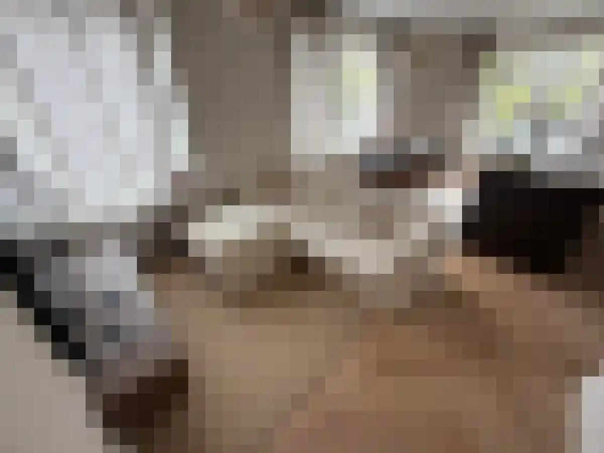 Abdijlaan 22 Uden