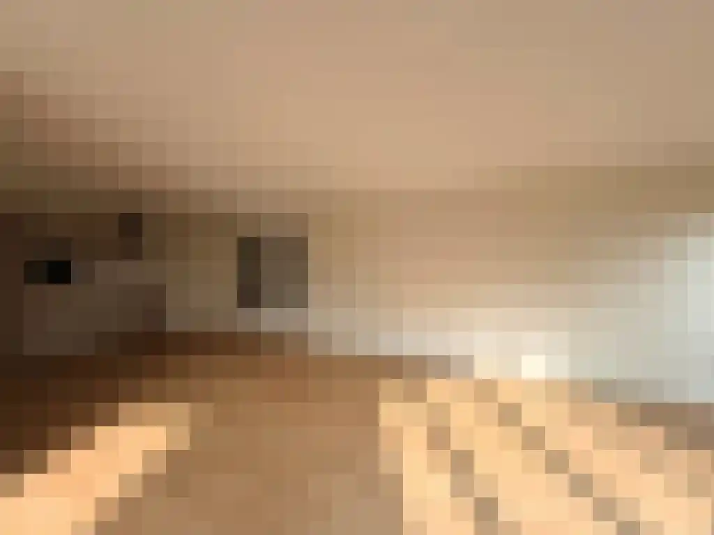 Abdijlaan 22 Uden thumbnail 6