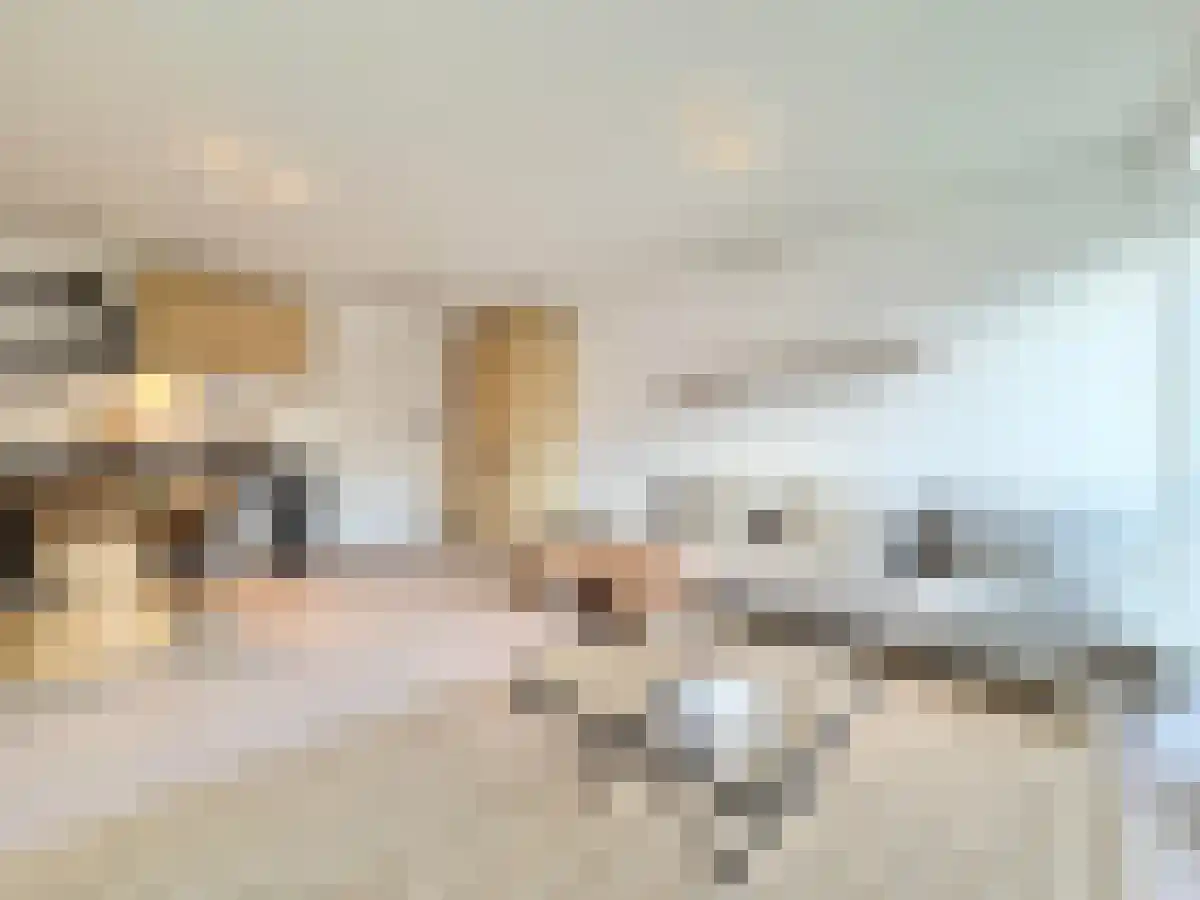 Abdijlaan 221 Uden foto 2