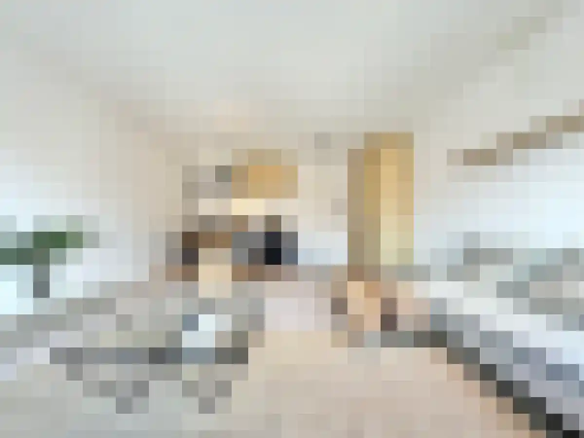 Abdijlaan 221 Uden thumbnail 4