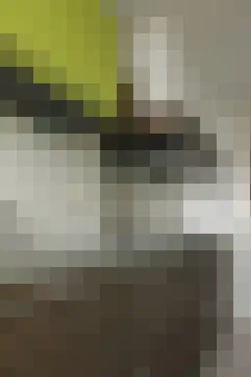 Abdijlaan 222 Uden thumbnail 6