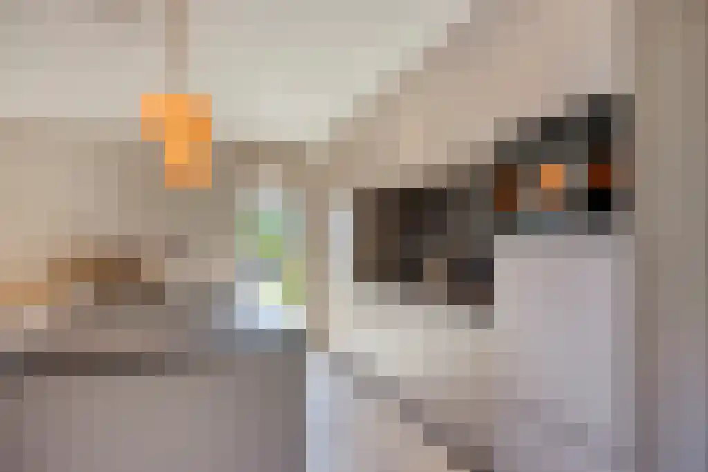 Abdijlaan 23 F Uden thumbnail 5