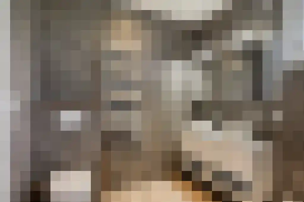 Abdijlaan 23 F Uden thumbnail 6