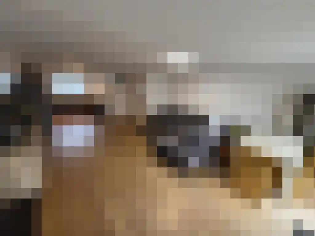 Abdijlaan 23 Uden foto 3