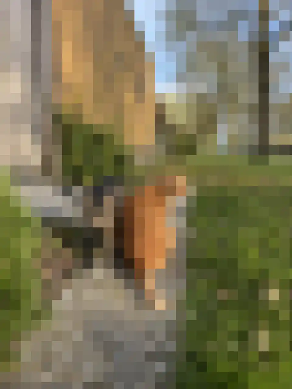 Abdijlaan 23 Uden thumbnail 4