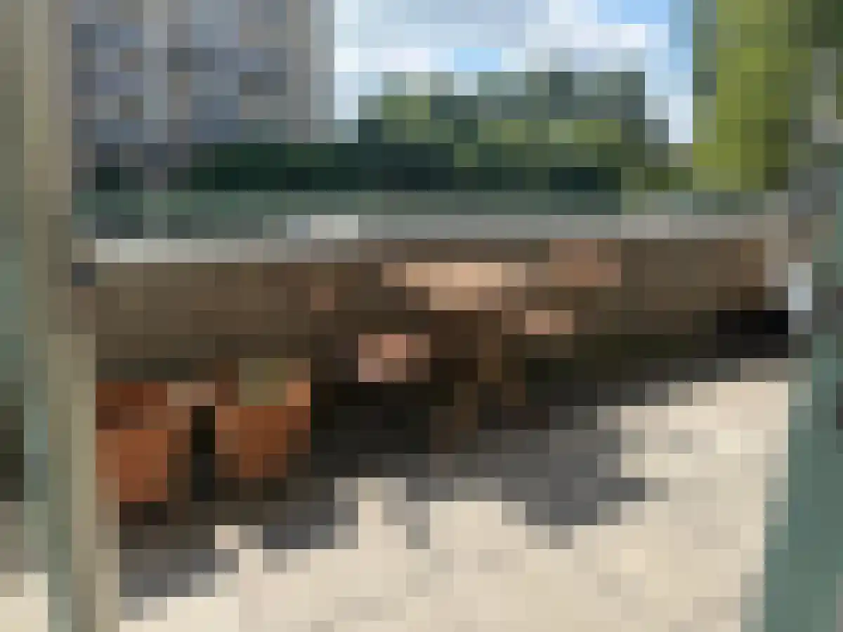 Abdijlaan 23 Uden thumbnail 6