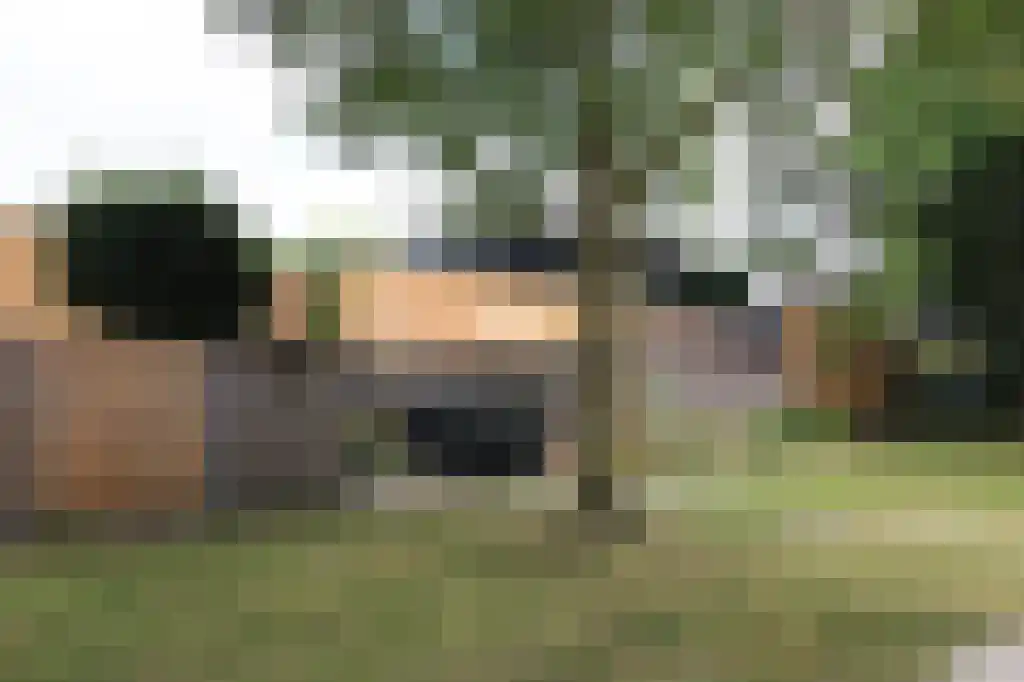 Abdijlaan 23 Uden thumbnail 6