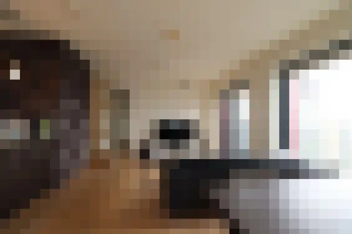 Abdijlaan 230 Uden thumbnail 4
