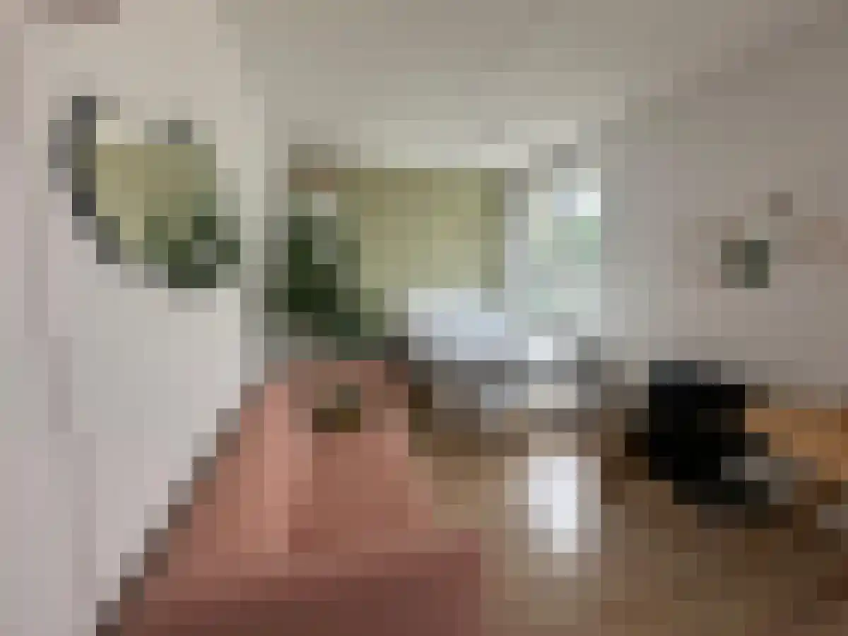 Abdijlaan 238 Uden thumbnail 6