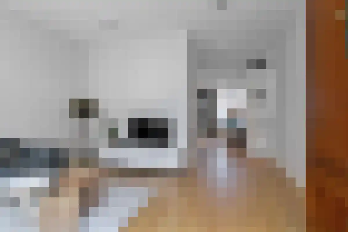 Abdijlaan 24 Uden foto 2