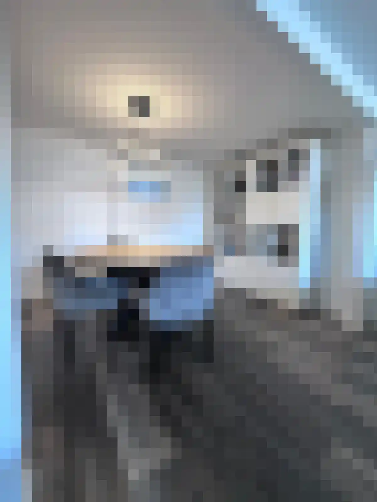 Abdijlaan 24 Uden foto 3