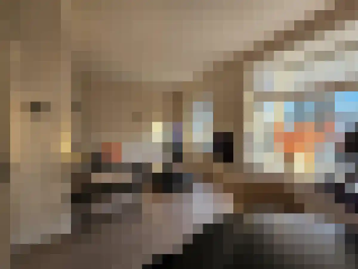 Abdijlaan 24 Uden foto 3