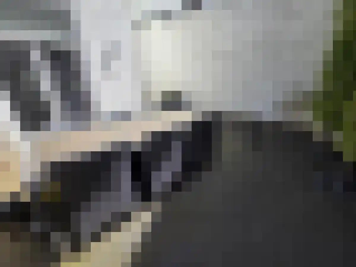 Abdijlaan 24 Uden thumbnail 5