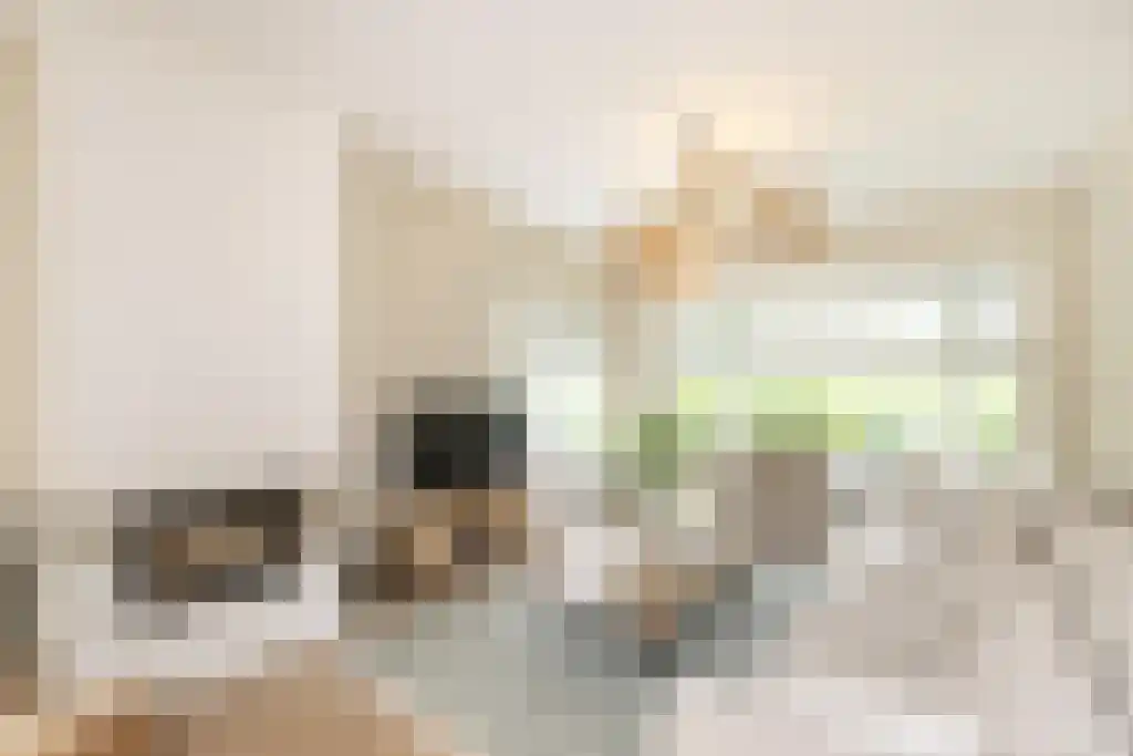 Abdijlaan 24 Uden thumbnail 5