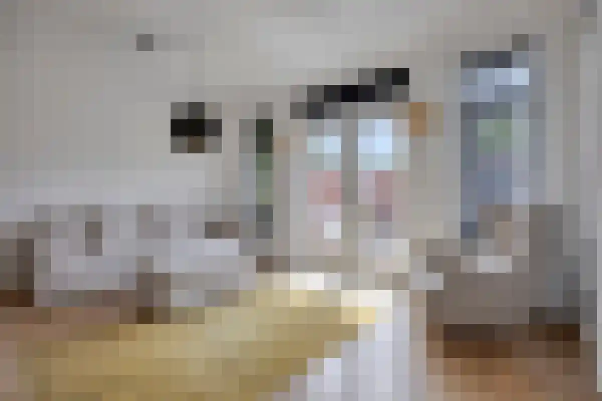 Abdijlaan 24 Uden thumbnail 6