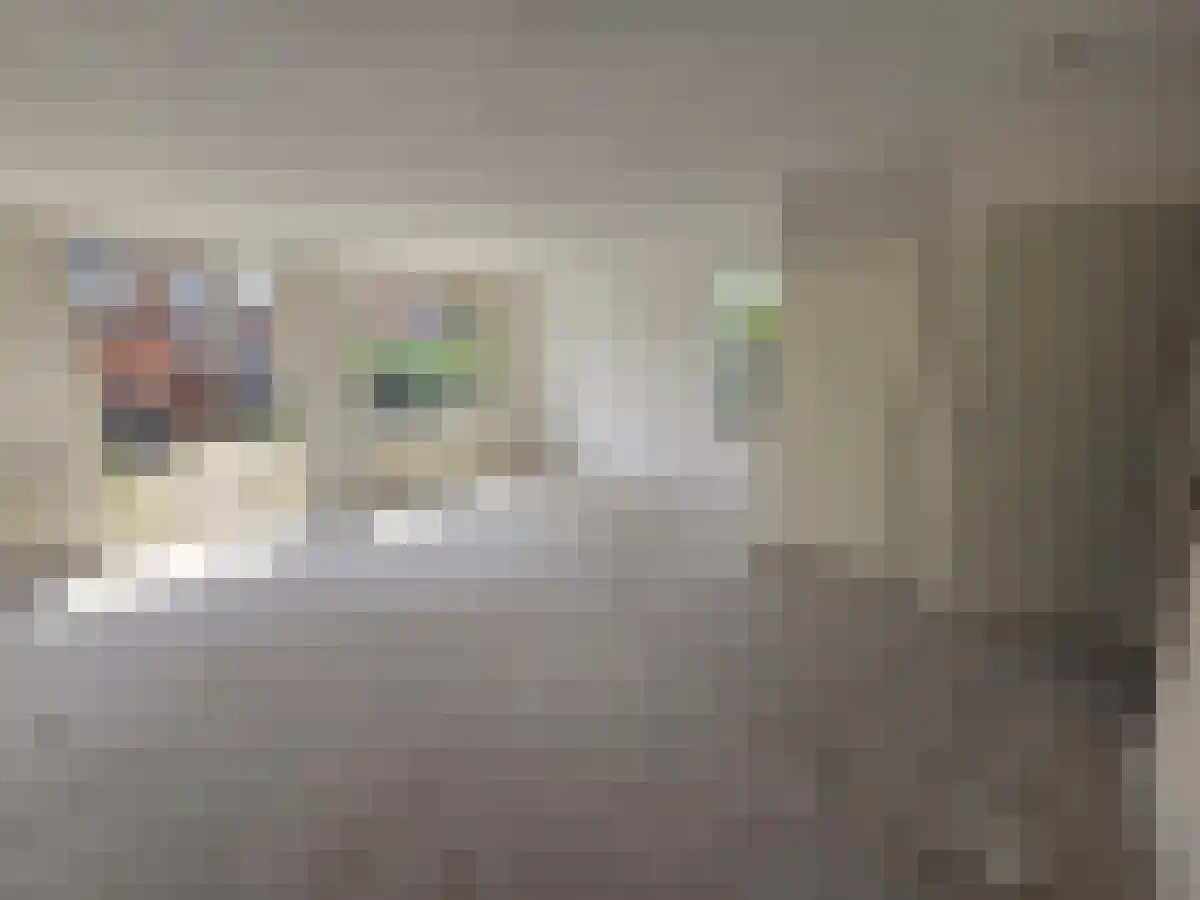 Abdijlaan 24 Uden thumbnail 6