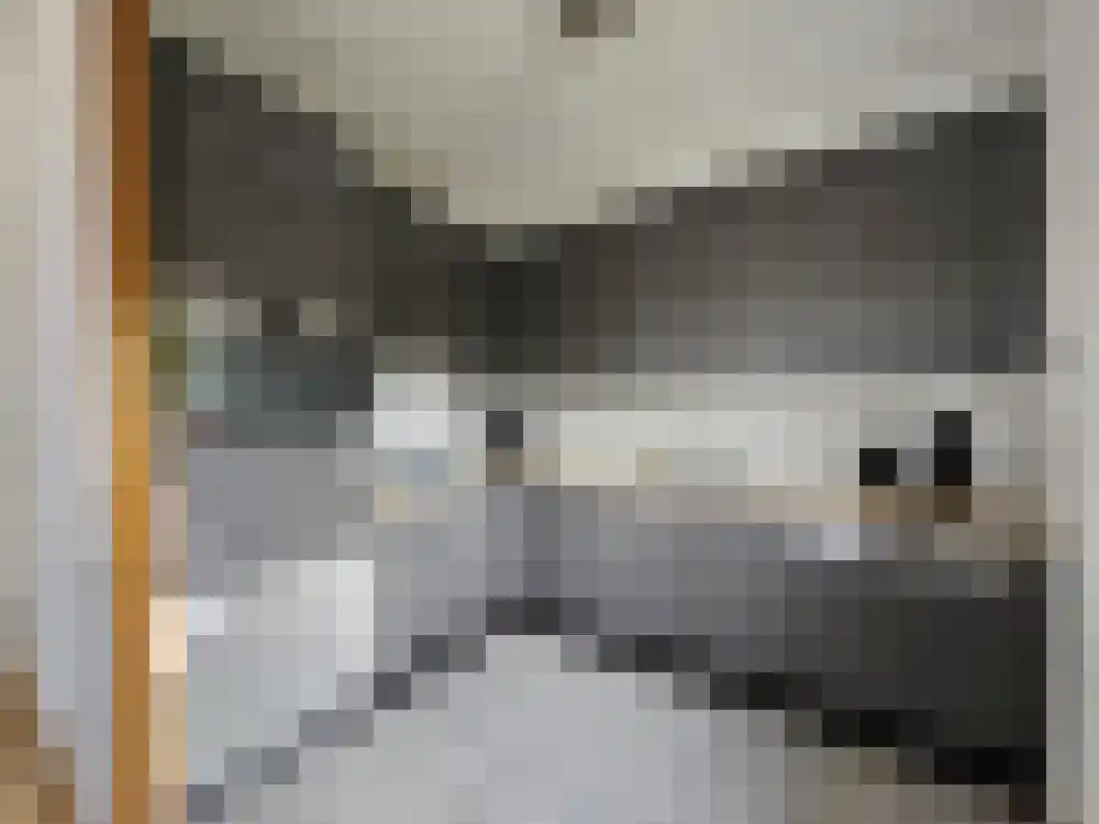 Abdijlaan 2412 Uden thumbnail 8