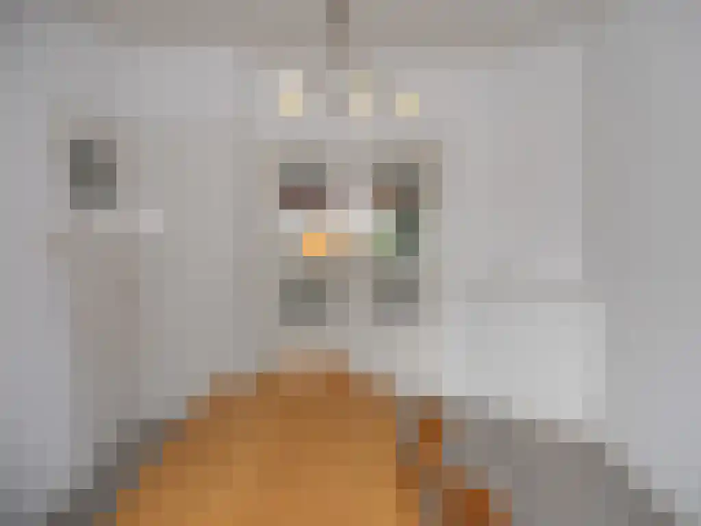 Abdijlaan 244 Uden thumbnail 5