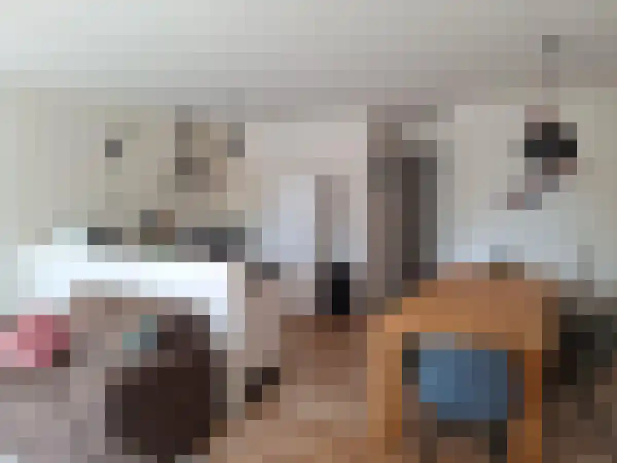 Abdijlaan 247 Uden thumbnail 6