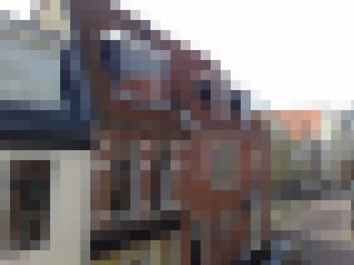 Abdijlaan 25 dans Uden