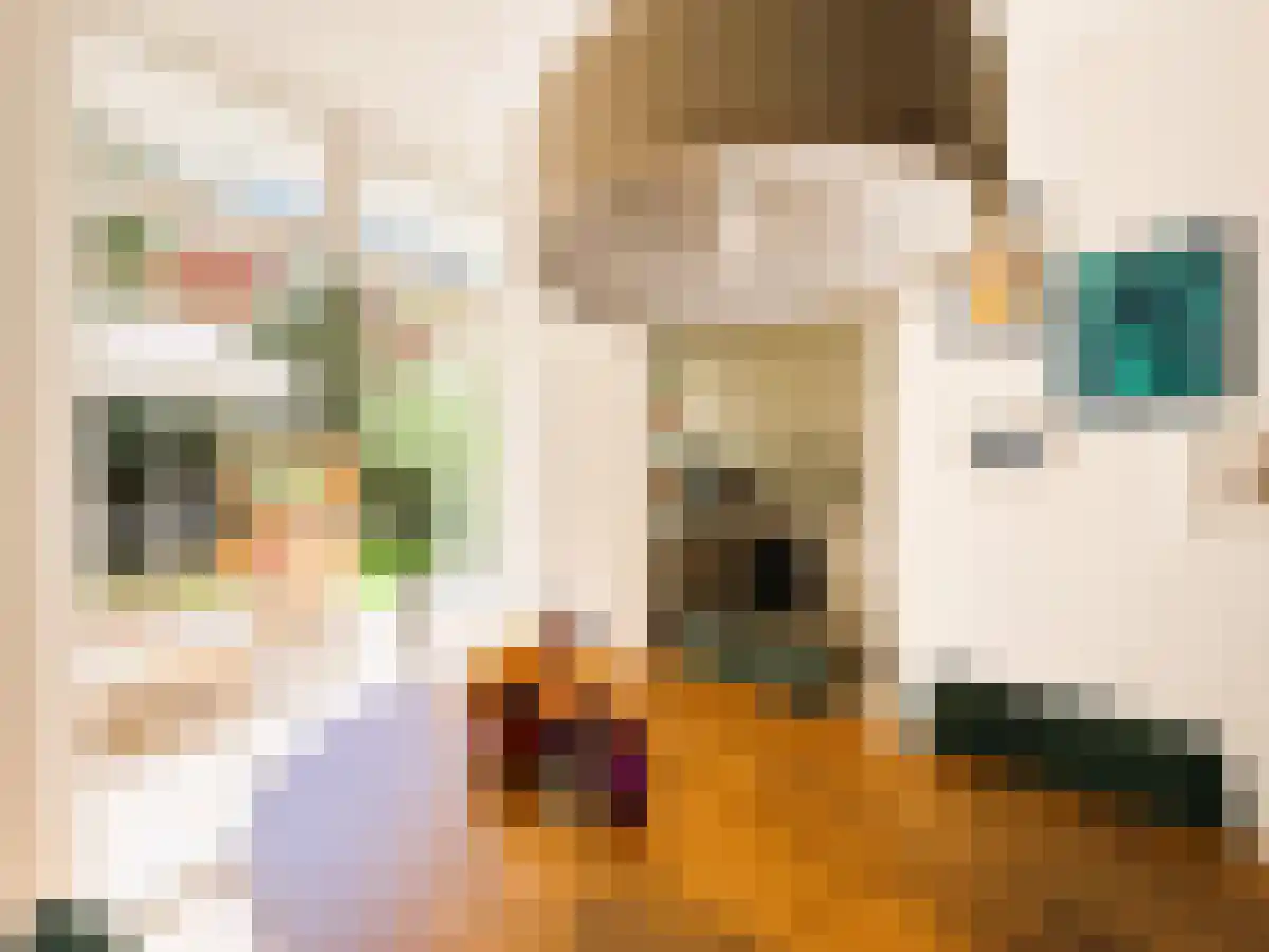 Abdijlaan 25 Uden thumbnail 4