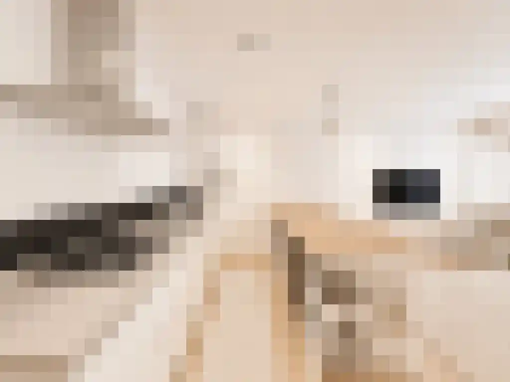 Abdijlaan 25 Uden thumbnail 6