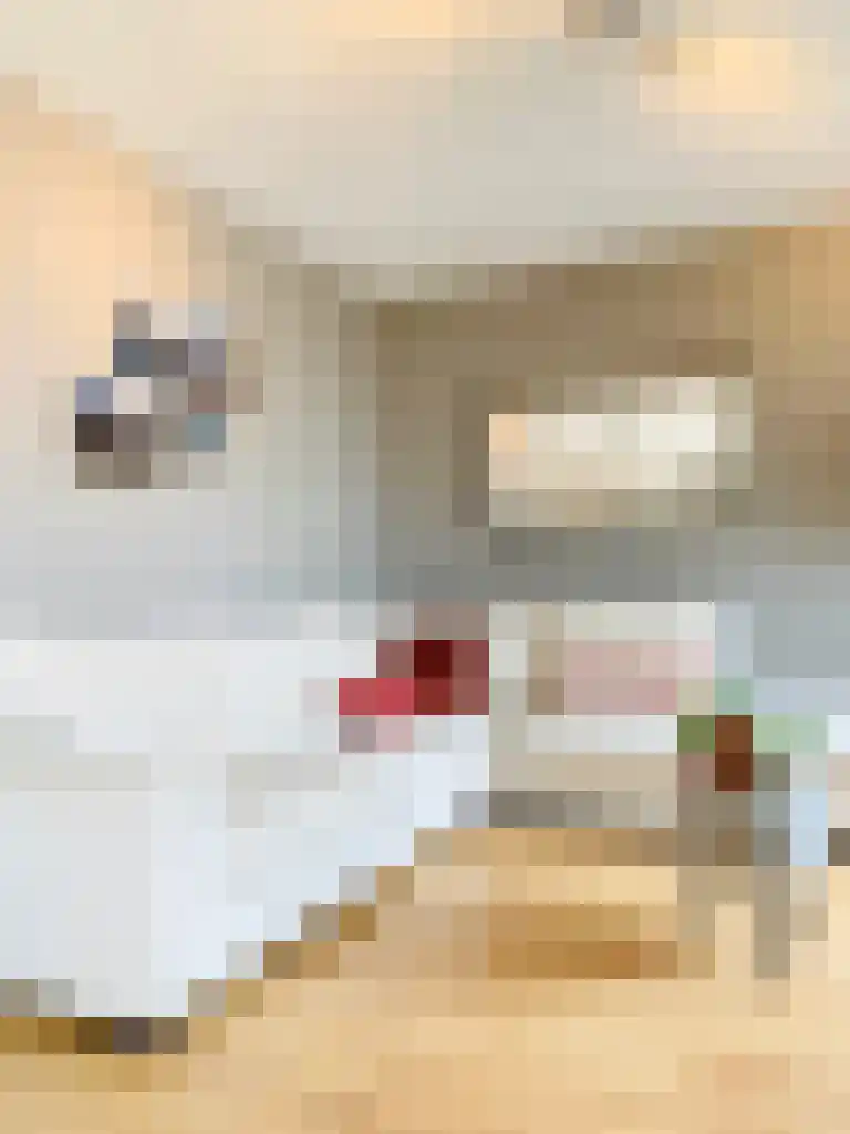 Abdijlaan 251 Uden thumbnail 4