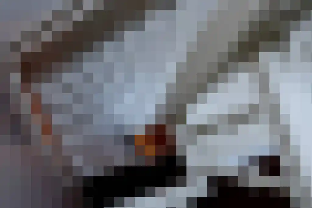 Abdijlaan 26 Uden thumbnail 5