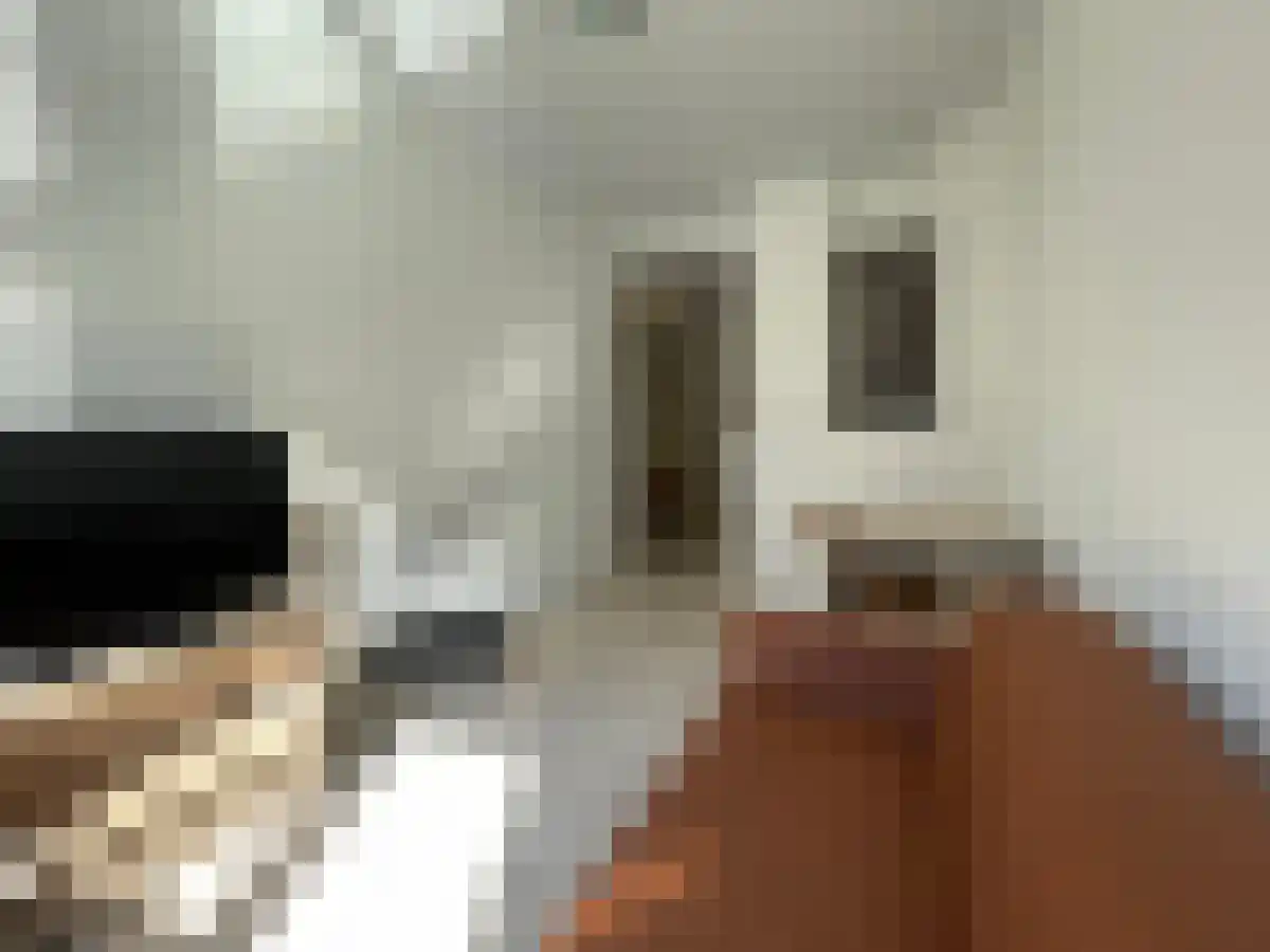 Abdijlaan 26 Uden thumbnail 6