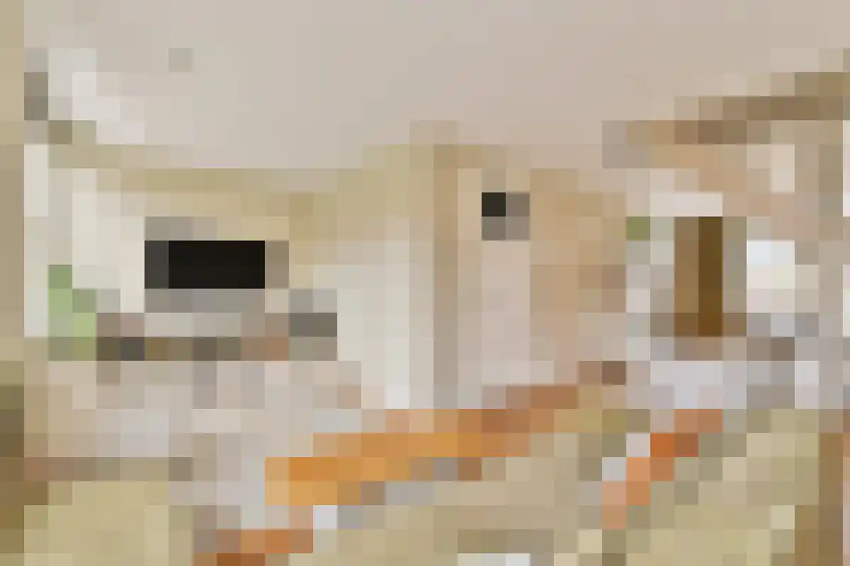 Abdijlaan 261 Uden thumbnail 5