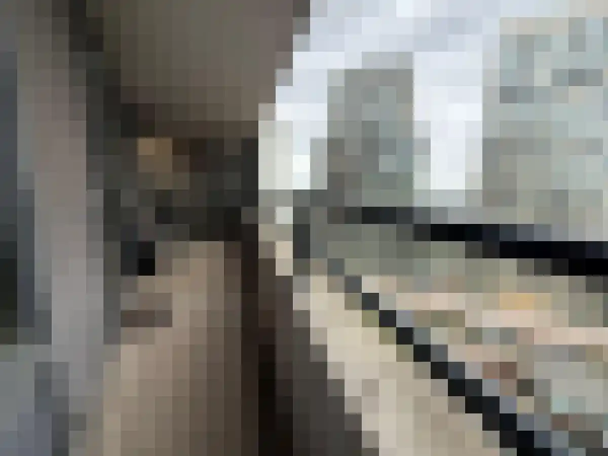 Abdijlaan 261 Uden thumbnail 6